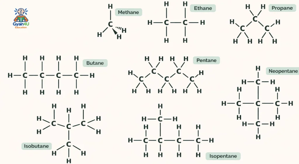 Types of Petroleum Gas in Hindi