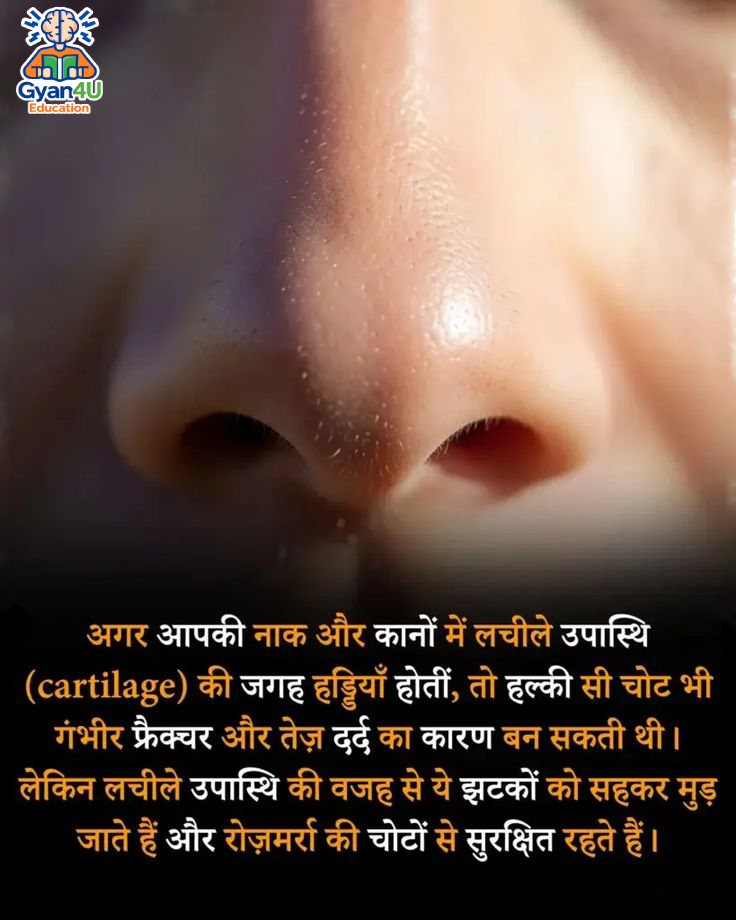 cartileg nose gyan4u