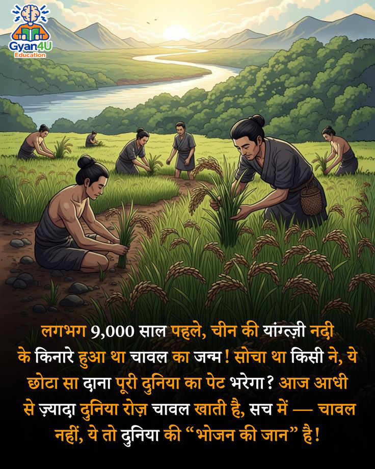 rice found in china river gyan4u