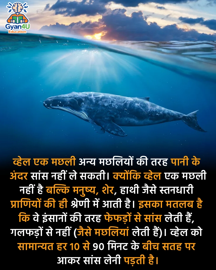 whele get oxygen gyan4u