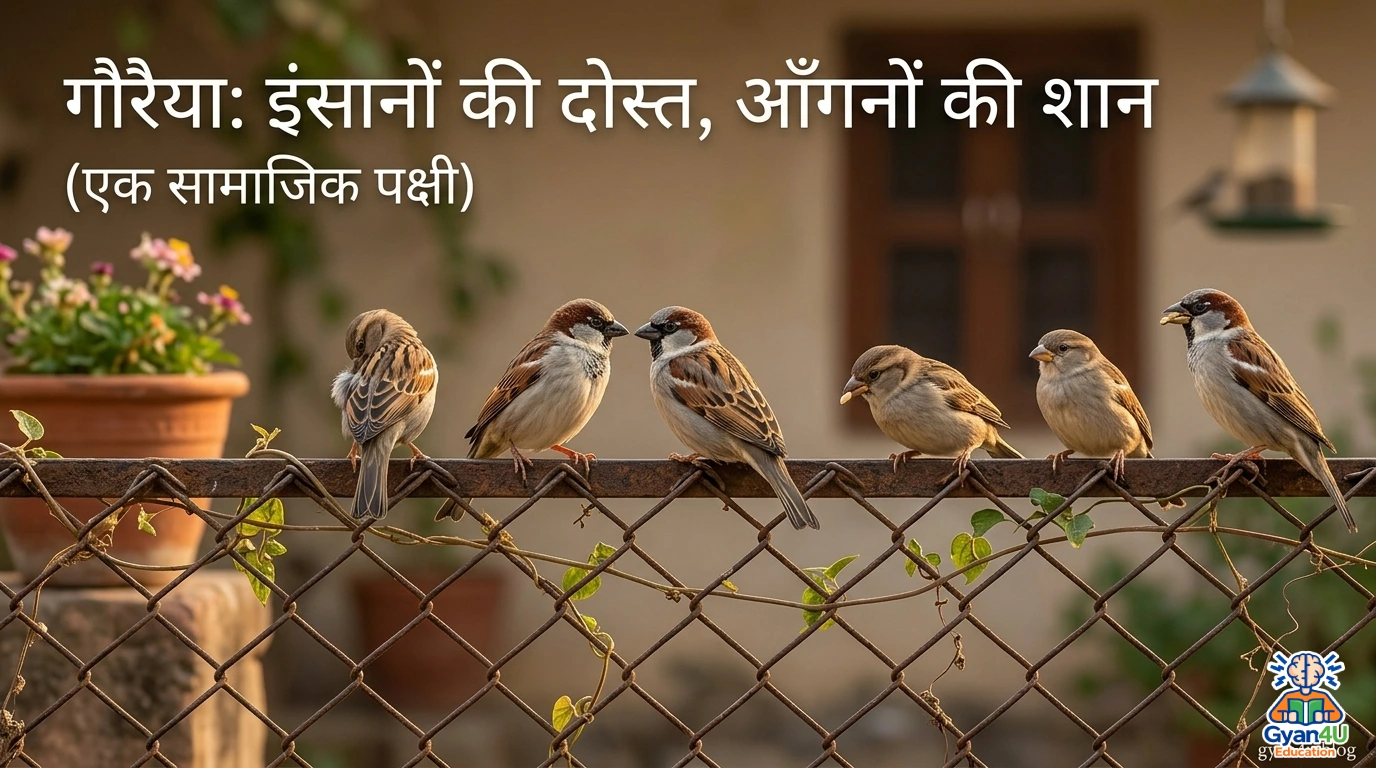 House sparrows sitting on a wire